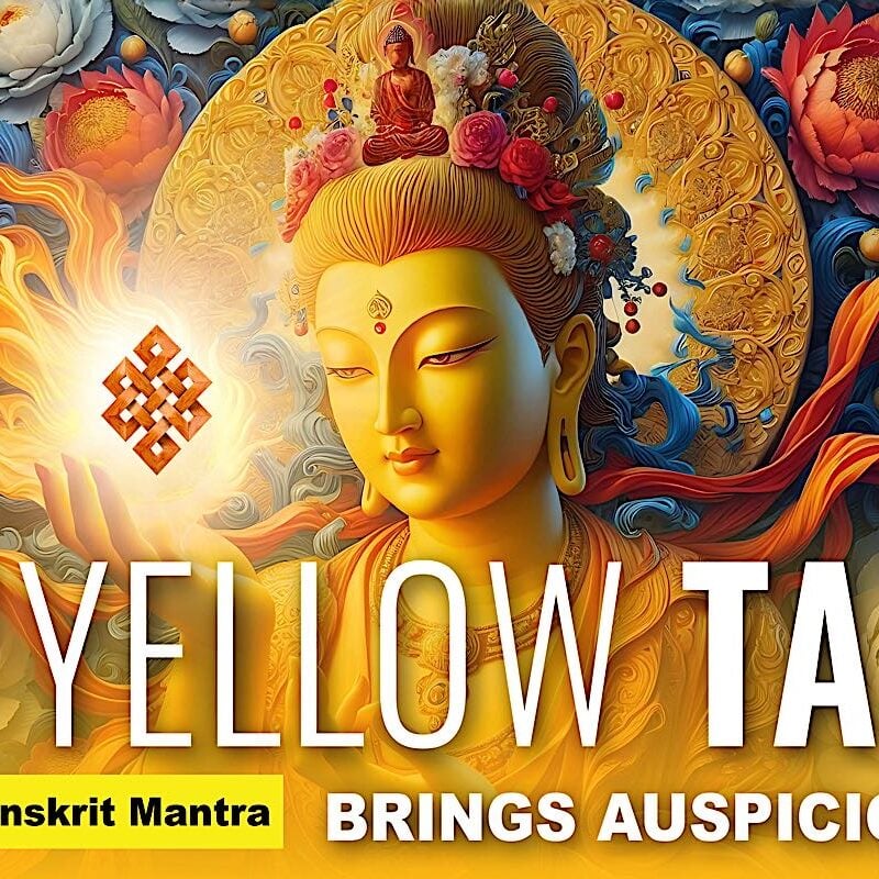 12th YELLOW TARABuddha-Weekly 12th YELLOW TARABuddha-Weekly