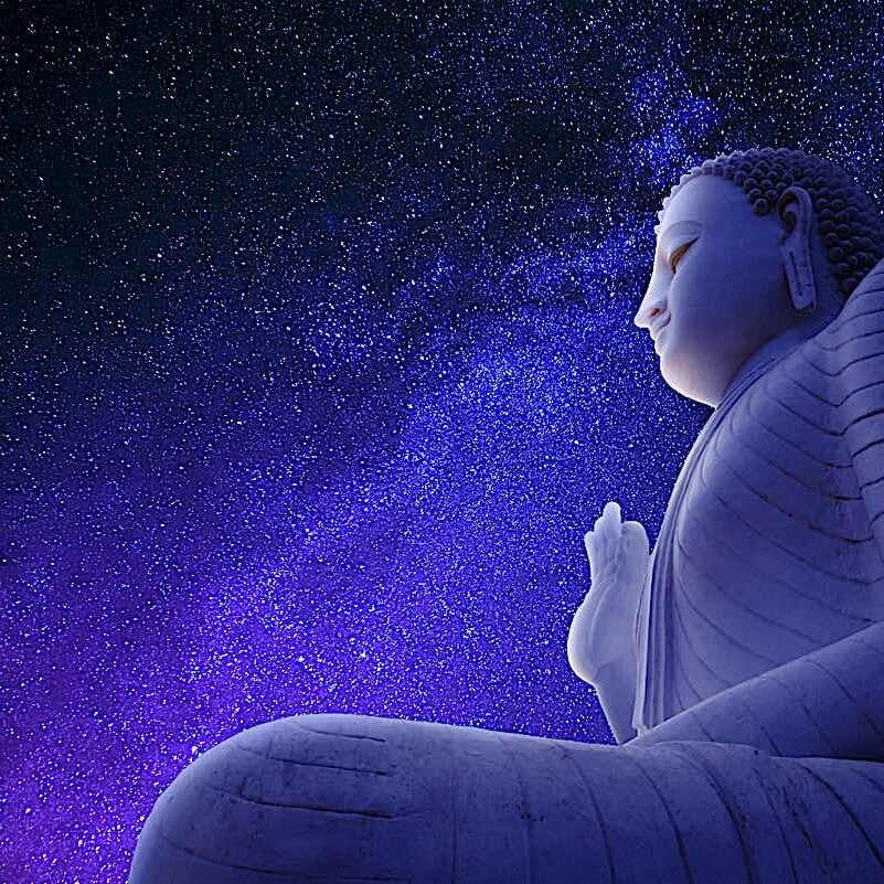 Where can we find the Buddha? Buddha can be found in our own mindspace as we meditate on Buddha, Dharma and Sangha.