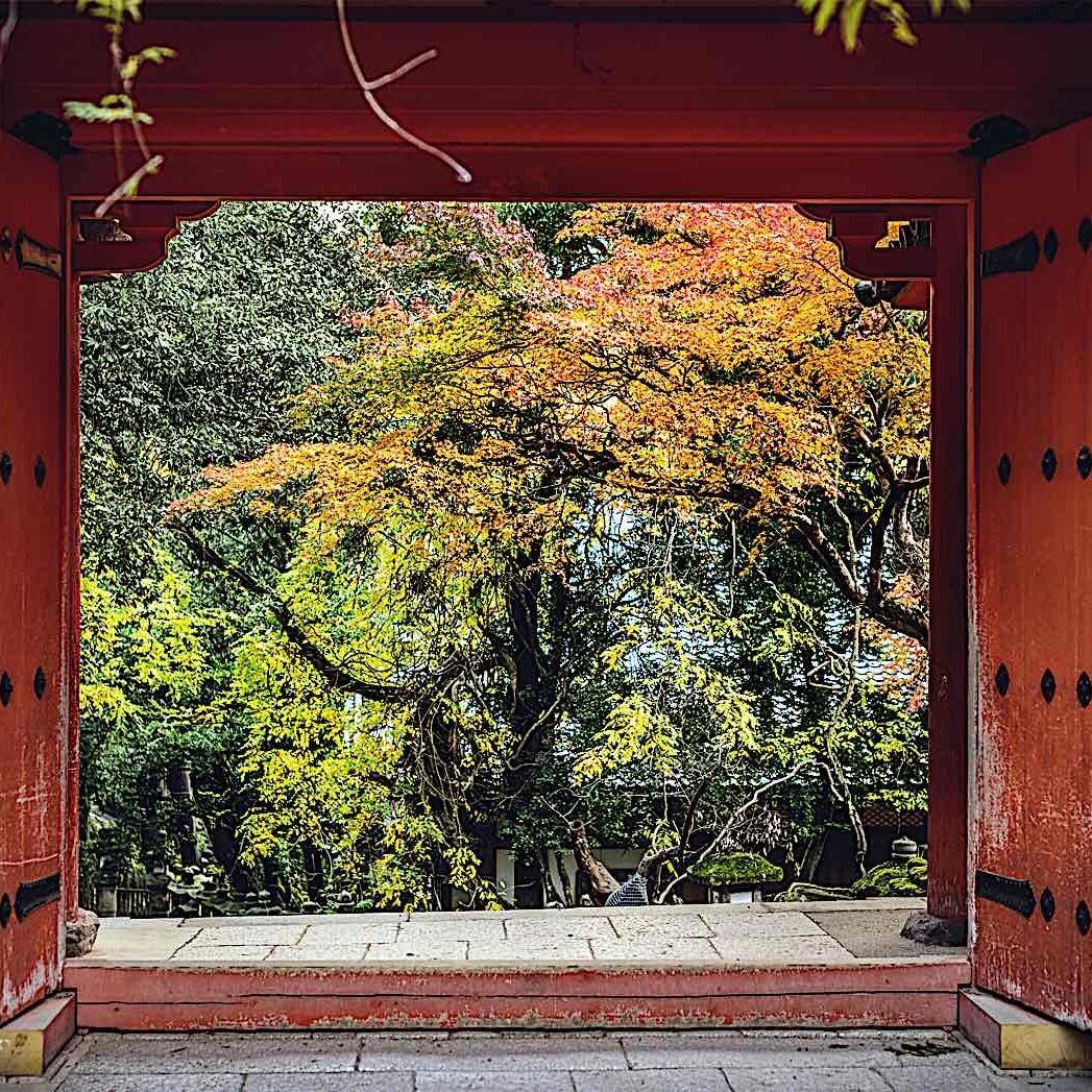 Buddha-Weekly-Doors temple Japan dreamstime_l_43095290-Buddhism Buddha-Weekly-Doors temple Japan dreamstime_l_43095290-Buddhism
