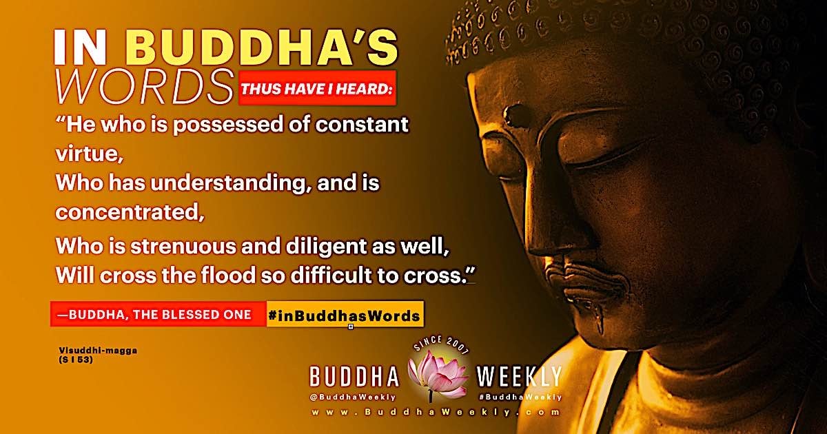 Buddha Weekly In Buddhas Words 3 with hashtag Purification Buddhism