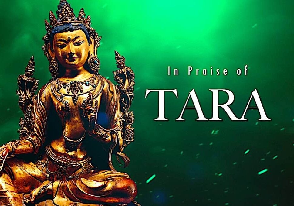 Buddha-Weekly-In Praise of Tara Video Jason Espada Recites-Buddhism Jason Espada recites In Praise of Tara in this meditative recited video with meditational images of Tara.