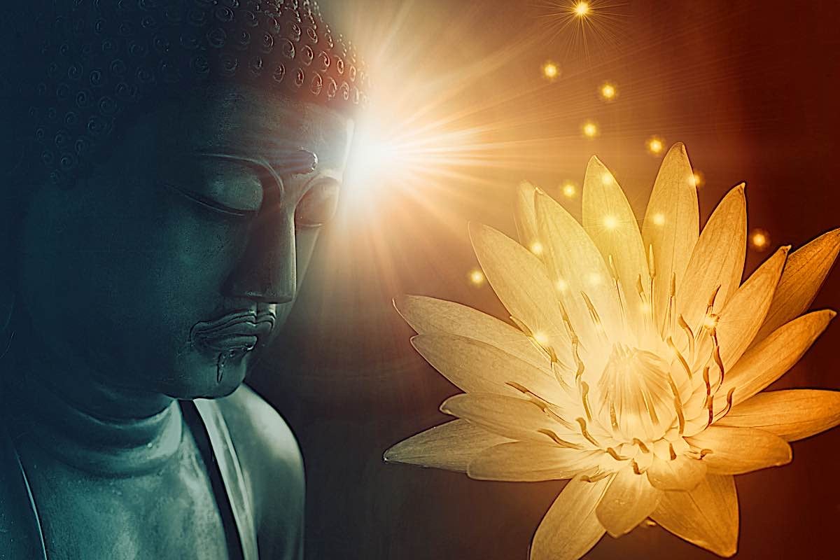 Buddha Weekly Lotus buddha dreamstime l 127724946 Buddhism