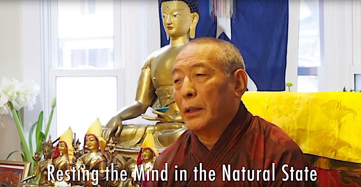 Buddha Weekly Resting the mind in the Natural State Buddhism