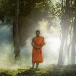 Buddha Weekly Walking Meditation Buddhist Monk in Forest Buddhism