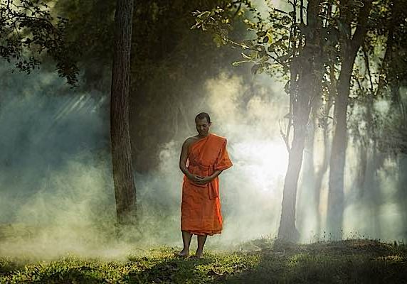 Buddha-Weekly-Walking Meditation Buddhist Monk in Forest-Buddhism A Buddhist monk performing formal walking meditation on a forest path.